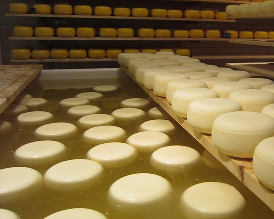 Вода после сыра. Формование сыра. Производство сыра. Сыры производство. Прессование сыра.
