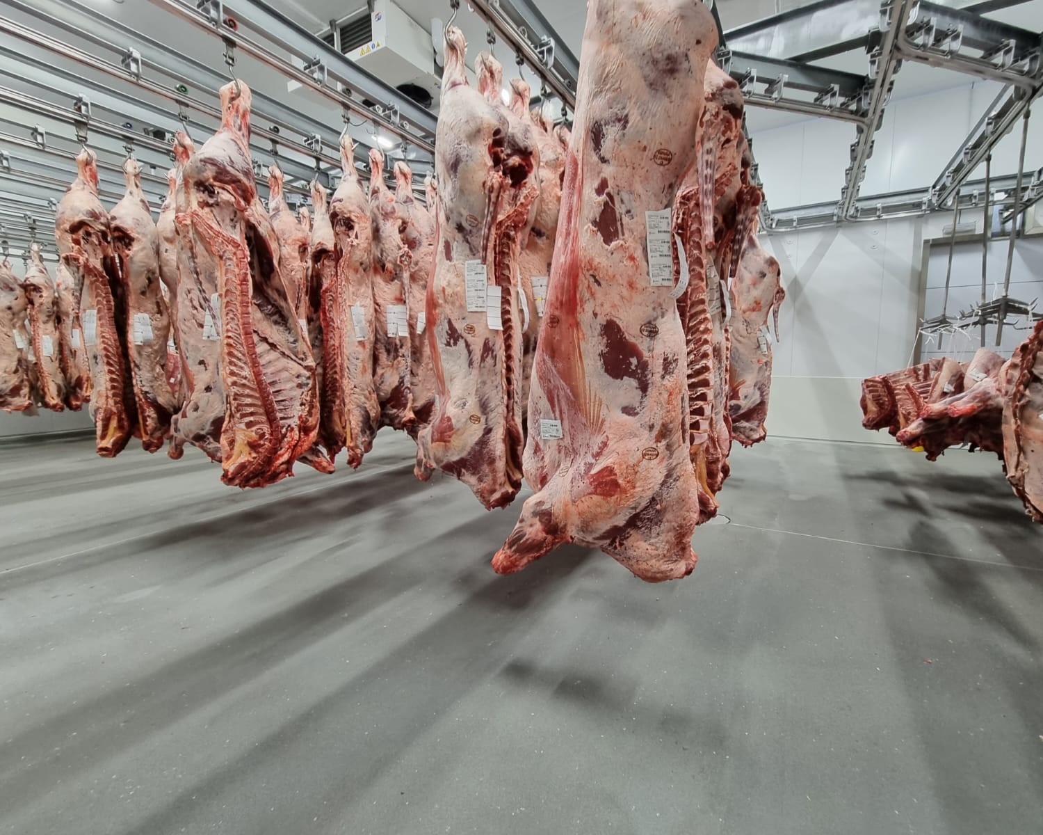 Rowwaq.qa Qatar مصنع تجهيز اللحوم