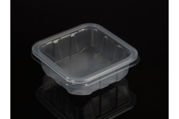 PET CONTAINER FOR APPETIZERS TYPE B